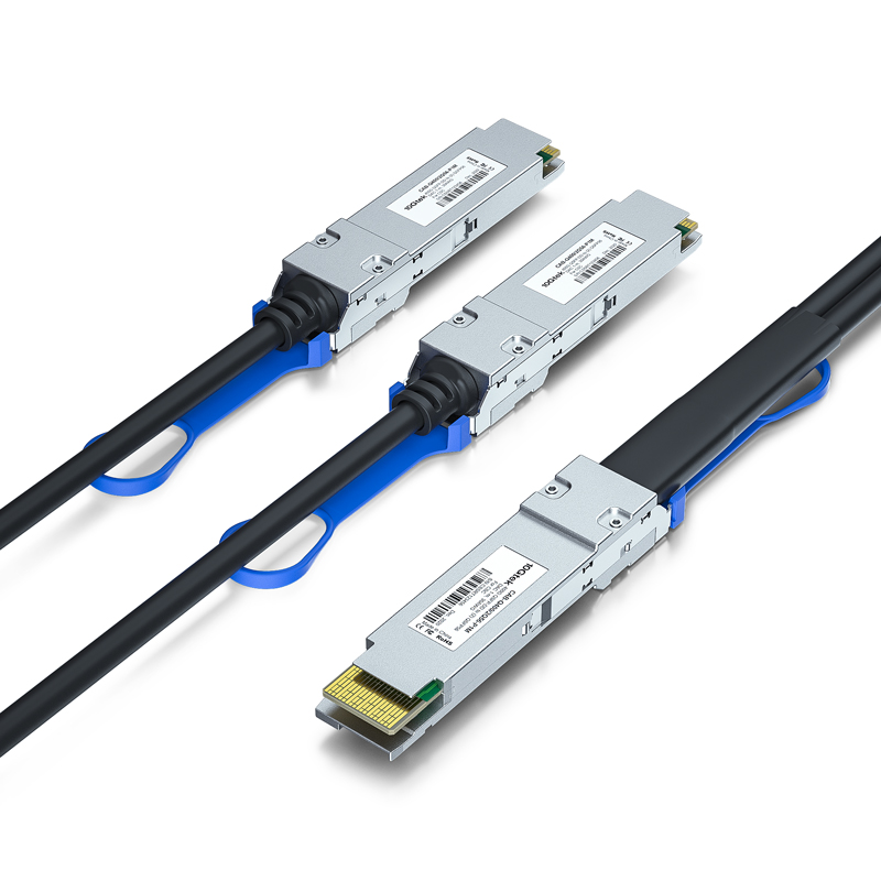 QSFP-DD/OSFP/QSFP112 (400G)